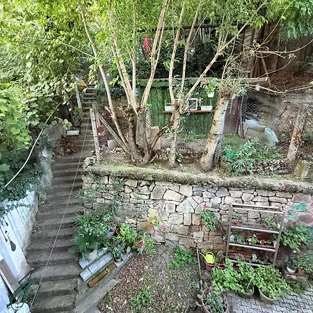 Near Park With Garden View 아파트 *