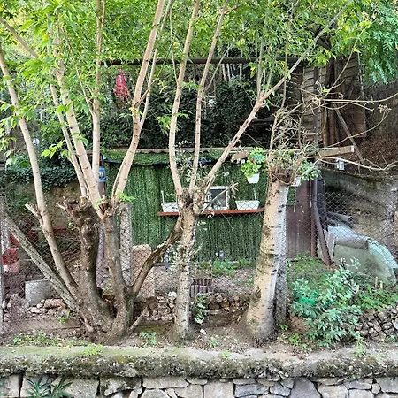 Near Park With Garden View 아파트 클루지나포카