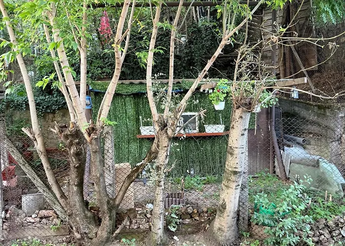 Near Park With Garden View Apartamento Cluj-Napoca